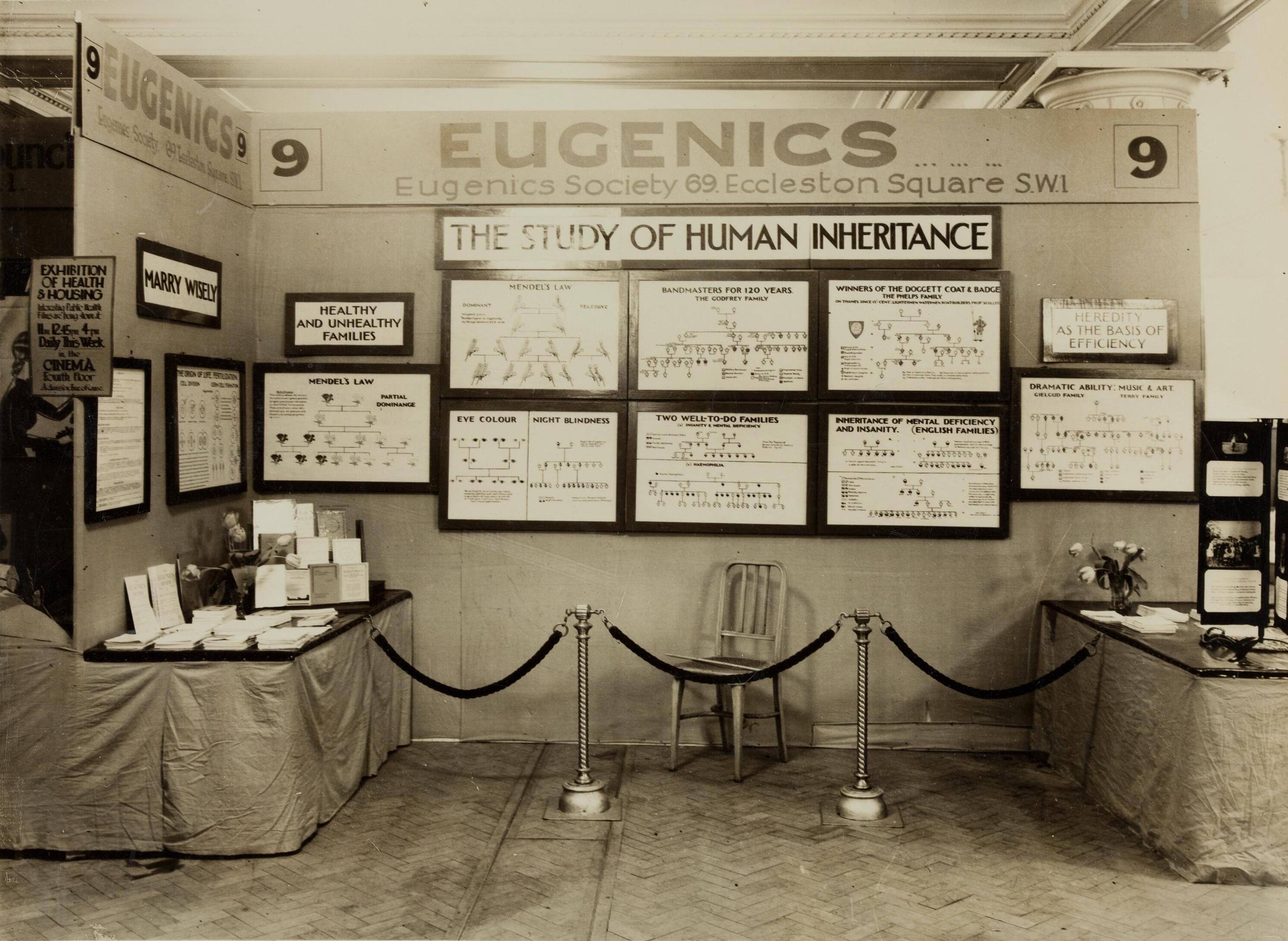 Historical pseudoscientific movement focused on selective breeding, now resurgent in modern debate